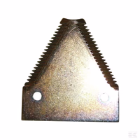 Section dentelée N.H.