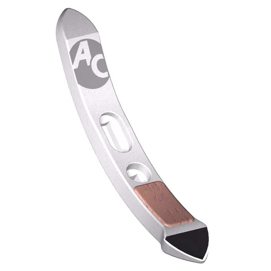 Soc chisel Agricarb 310x40x18mm Carbure