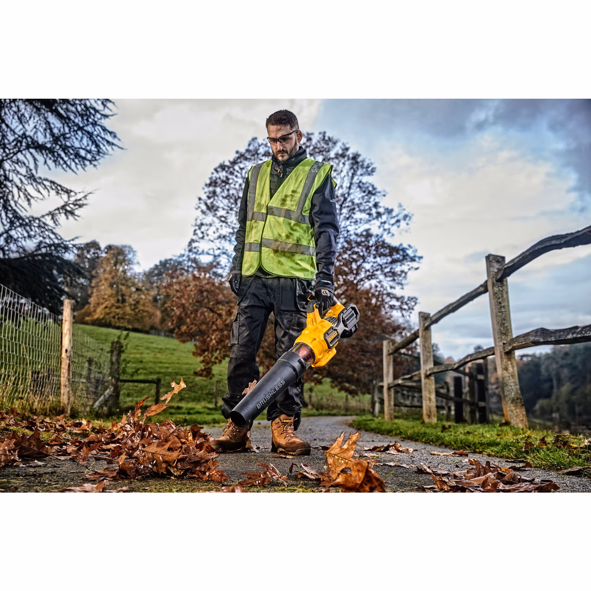 Souffleur XR FLEXVOLT 54 V 3 Ah Li-Ion Brushless - vitesse de soufflage max. (km/h) : 200 / débit d'air (m³/hr) : 650 - 1 batterie, chargeur