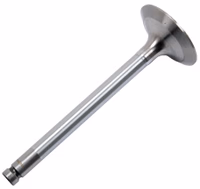 Soupape admission 35°angle Massey Ferguson 3142H002 adaptable