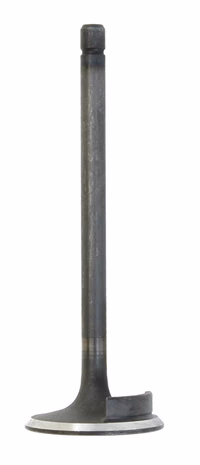 Soupape admission déflecteur. Fiat 4802200 adaptable