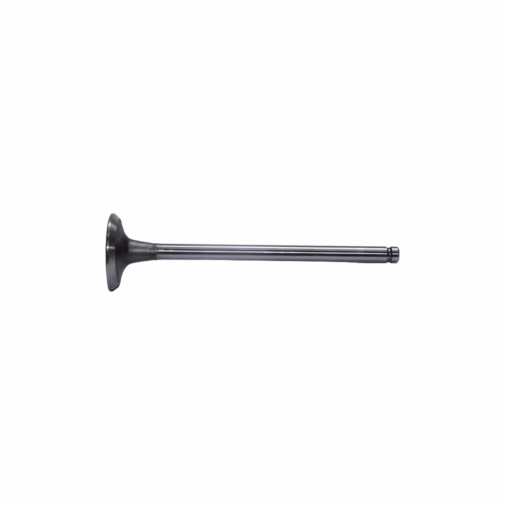Soupape D'Echappemen Ref 8823544