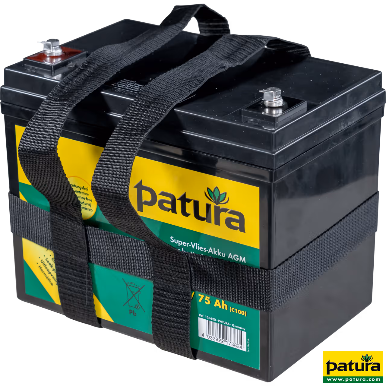 Super Batterie fixée AGM 12 V / 75 Ah pour électrificateurs 12 V
