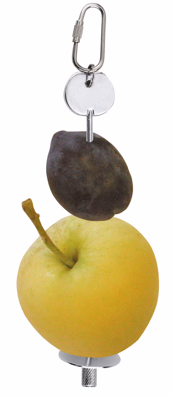 Support à fruits pour rongeur galva, 20cm