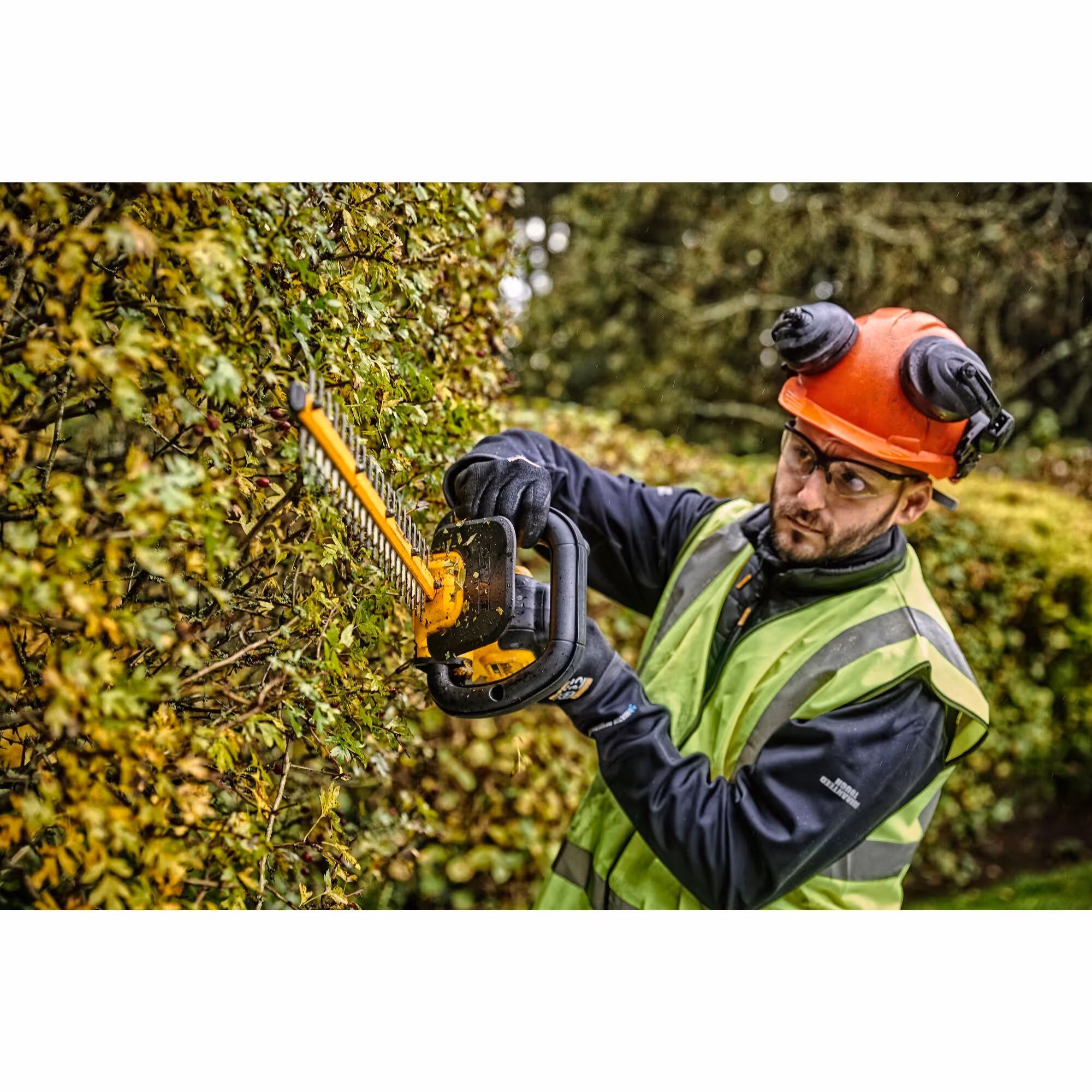 Taille haies 55 cm XR 18V - Produit sans batterie ni chargeur 