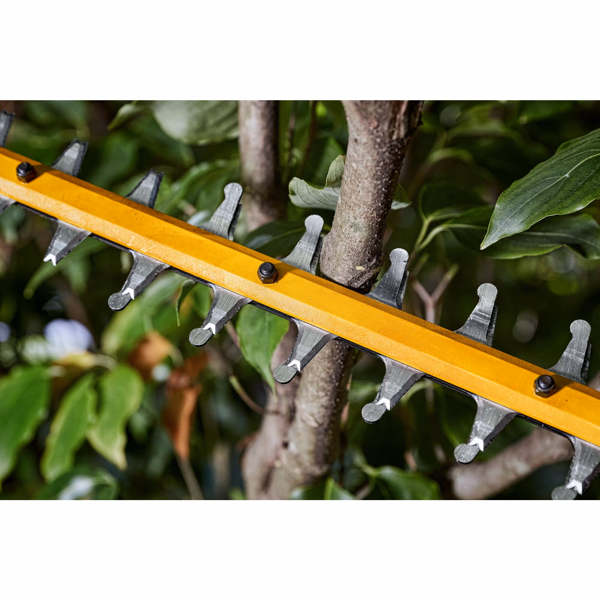 Taille-haies XR FLEXVOLT 54V 3Ah Li-Ion Brushless