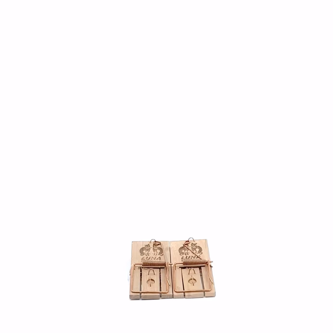 Tapette à souris en bois