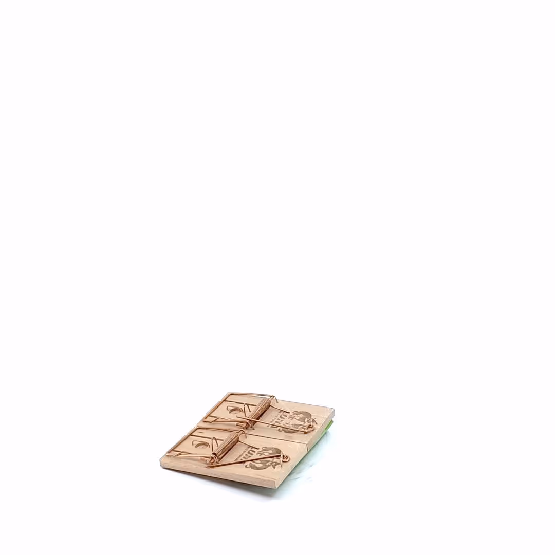 Tapette à souris en bois