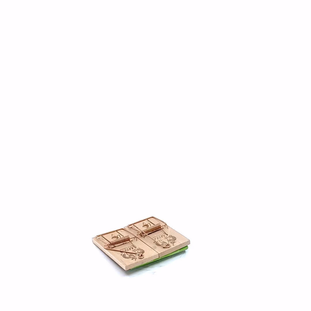 Tapette à souris en bois