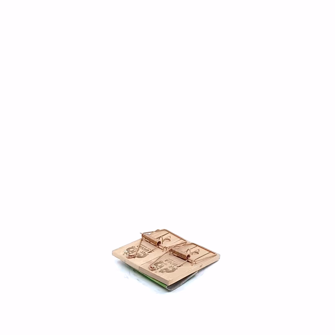 Tapette à souris en bois