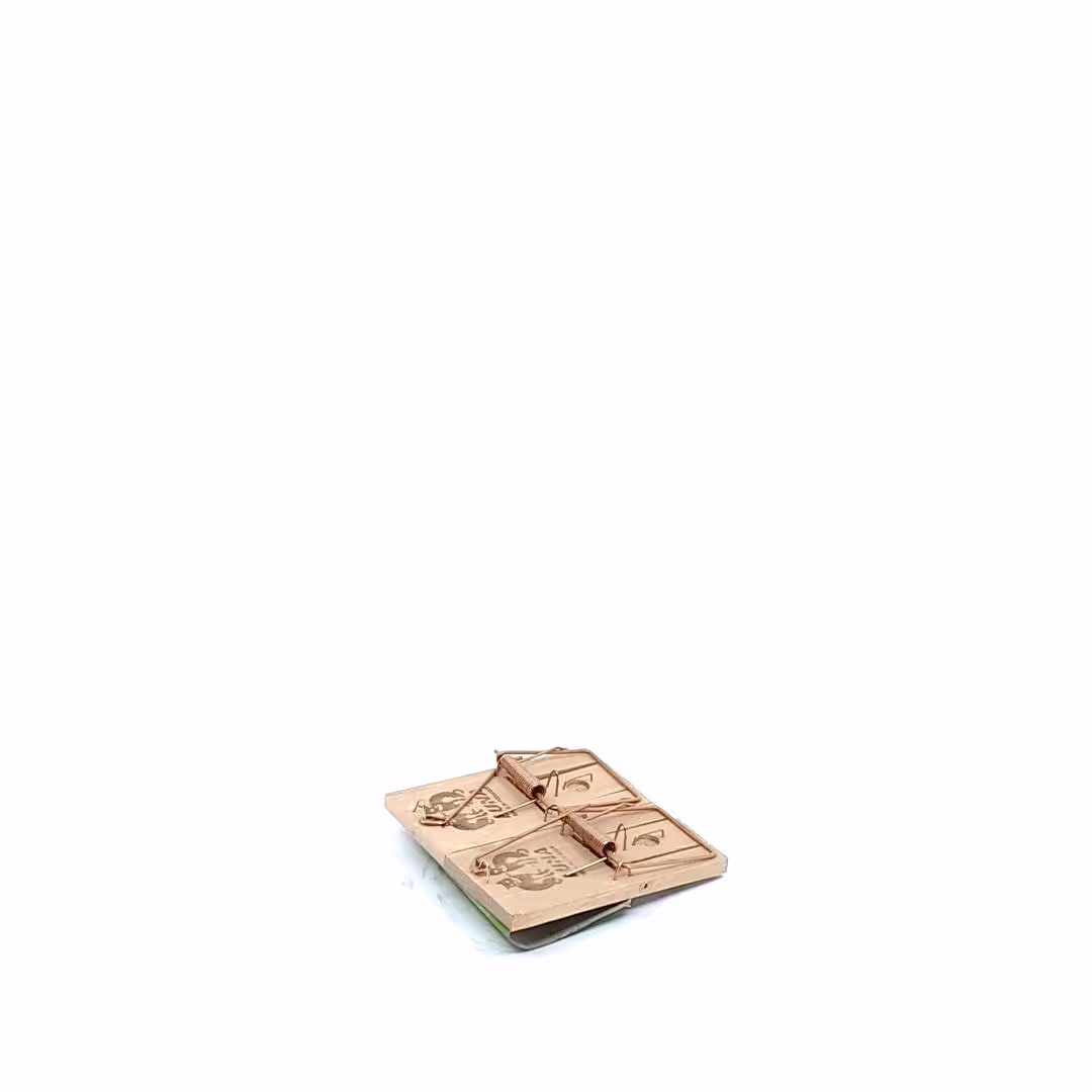 Tapette à souris en bois