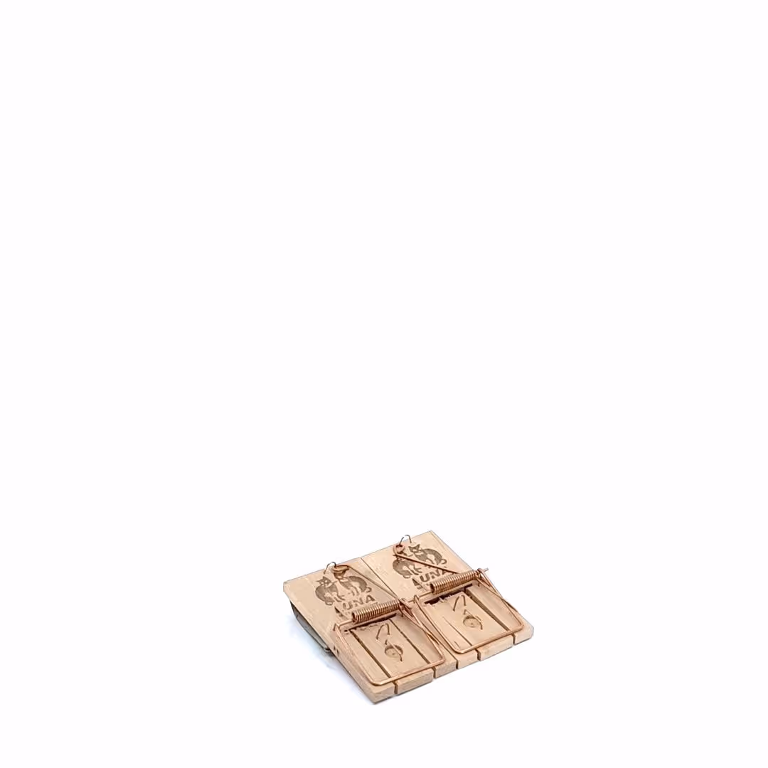 Tapette à souris en bois