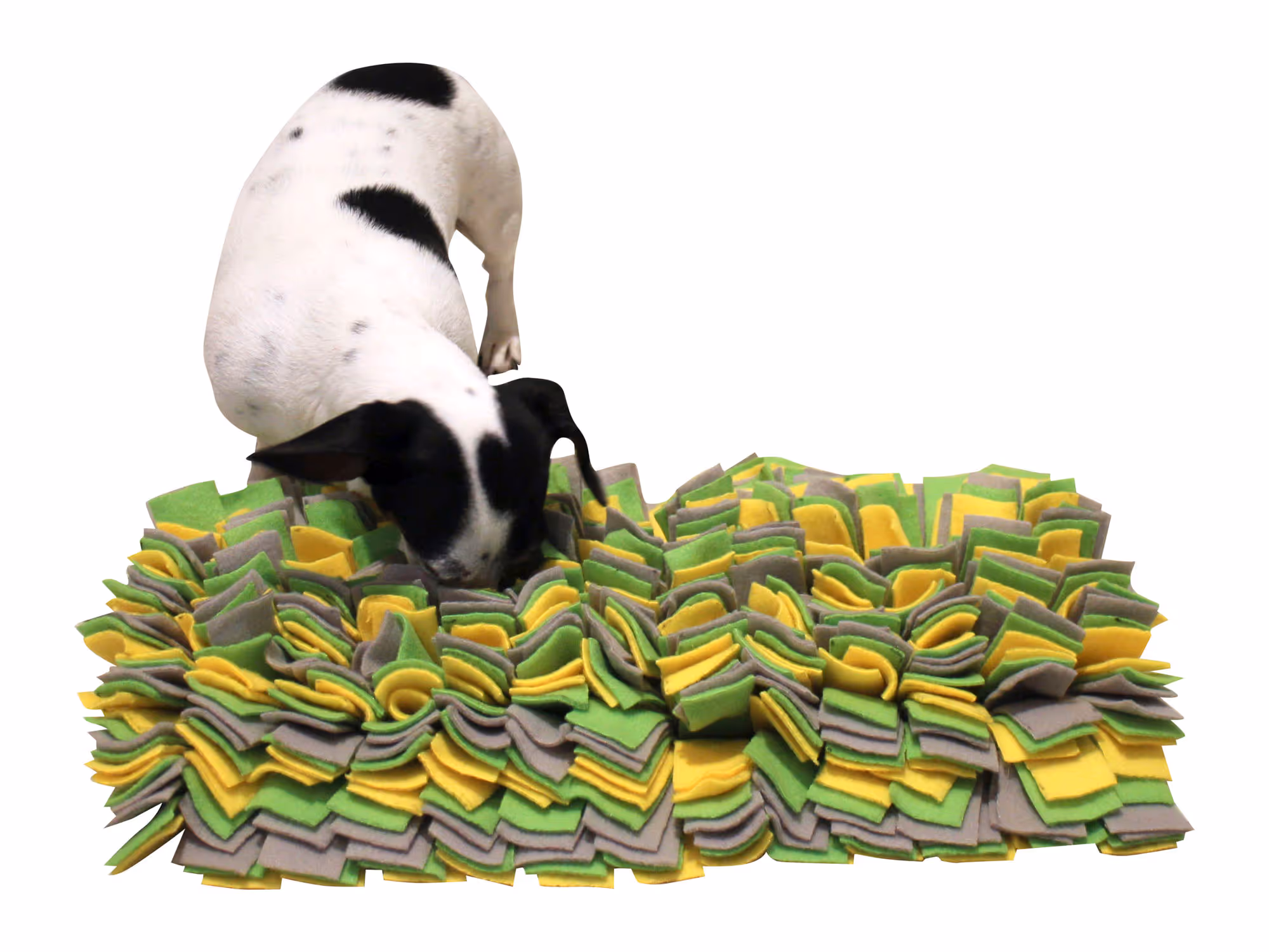 Tapis à renifler 50x30cm jaune/vert/gris