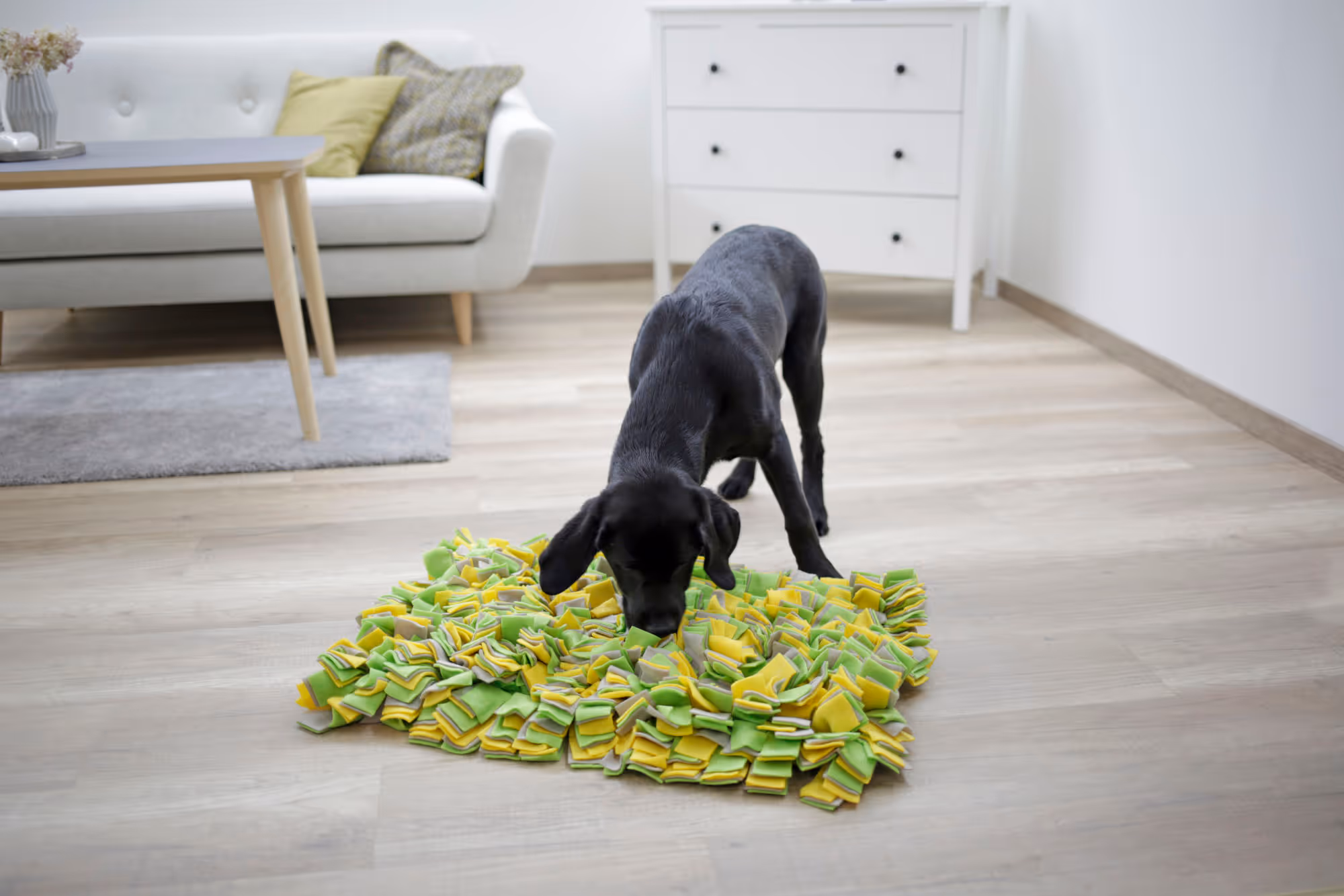 Tapis à renifler 50x30cm jaune/vert/gris