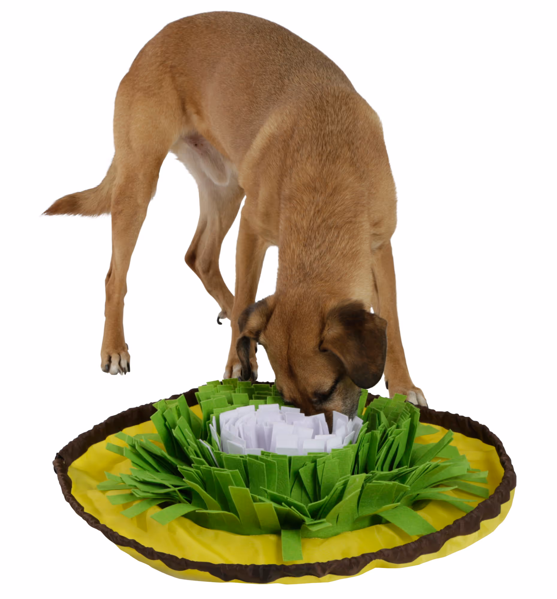 Tapis à renifler Bowl jaune/vert/blanc, Ø60cm