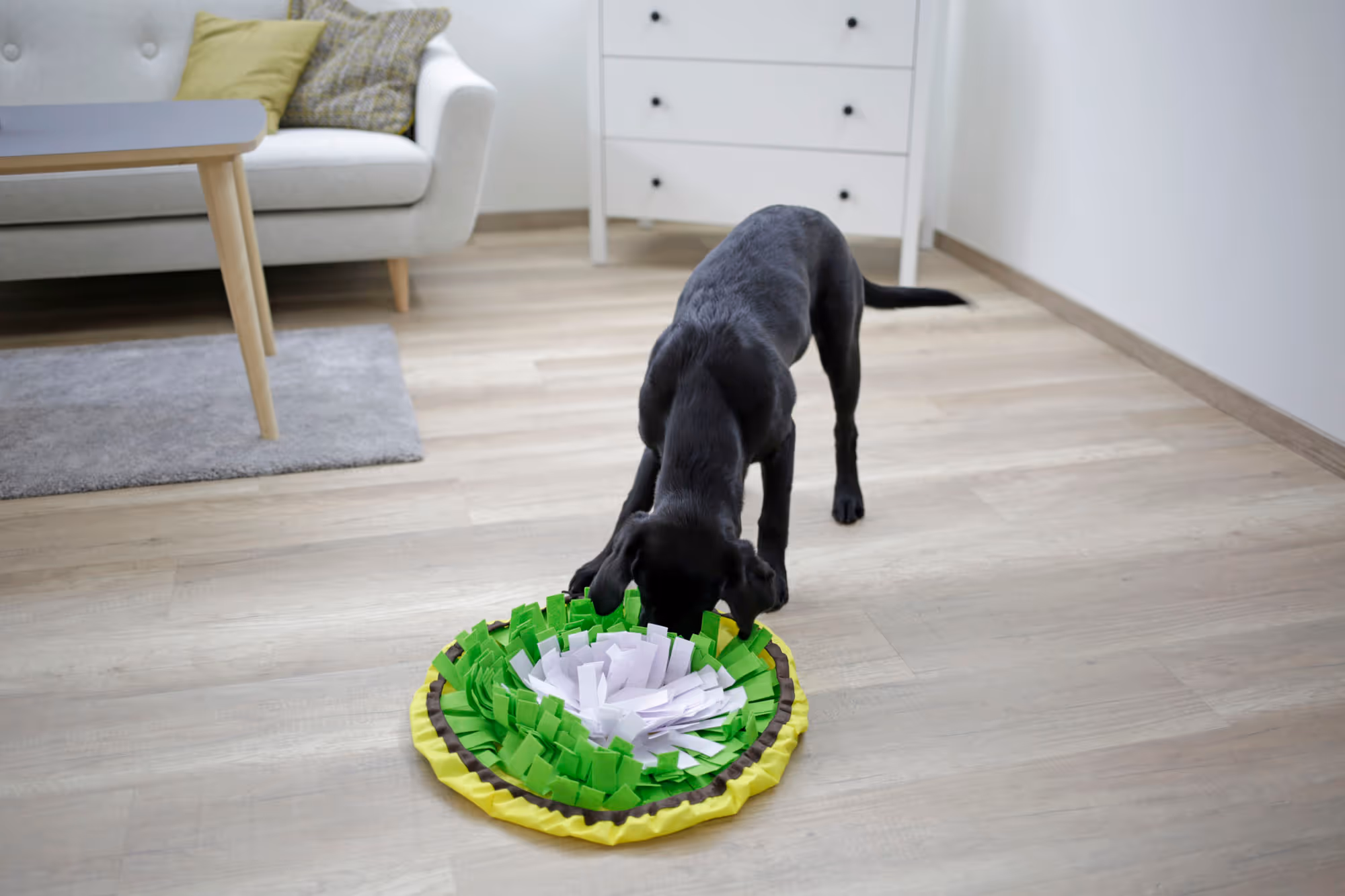 Tapis à renifler Bowl jaune/vert/blanc, Ø60cm