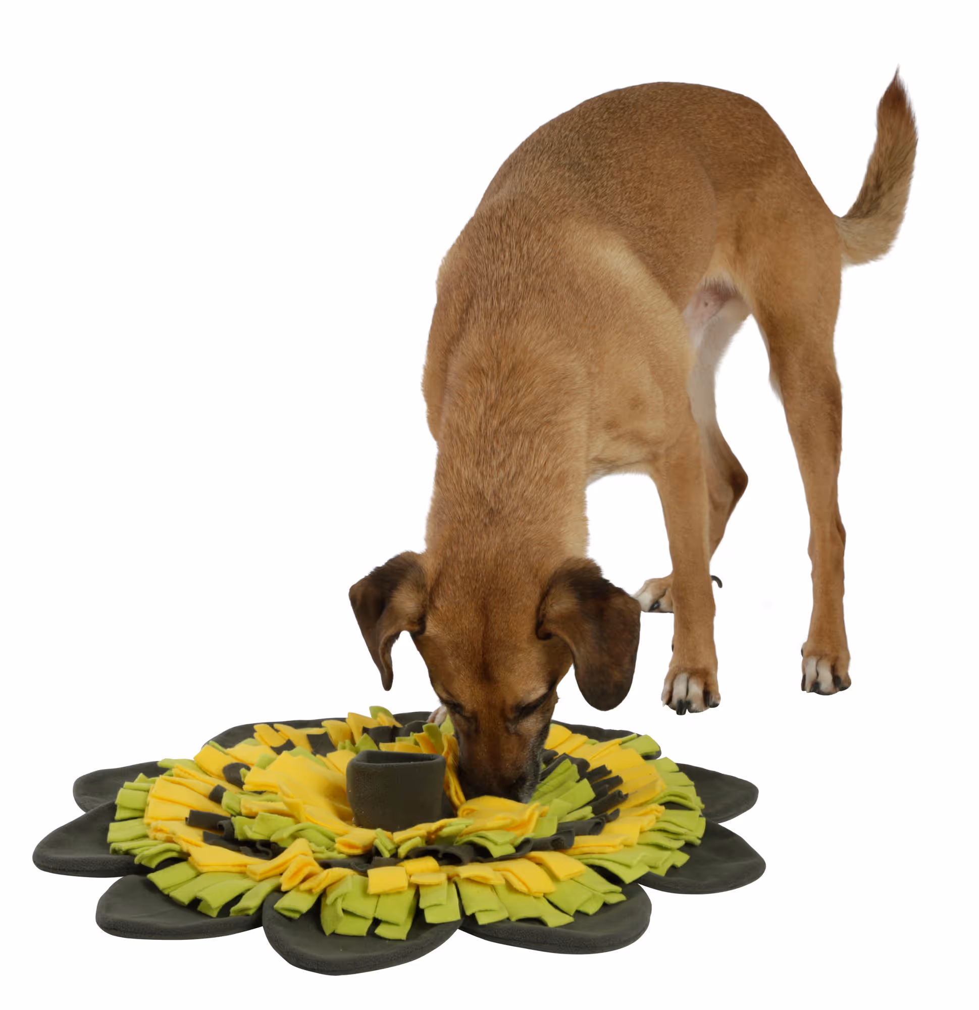 Tapis à renifler Sunflower jaune/vert, Ø40cm