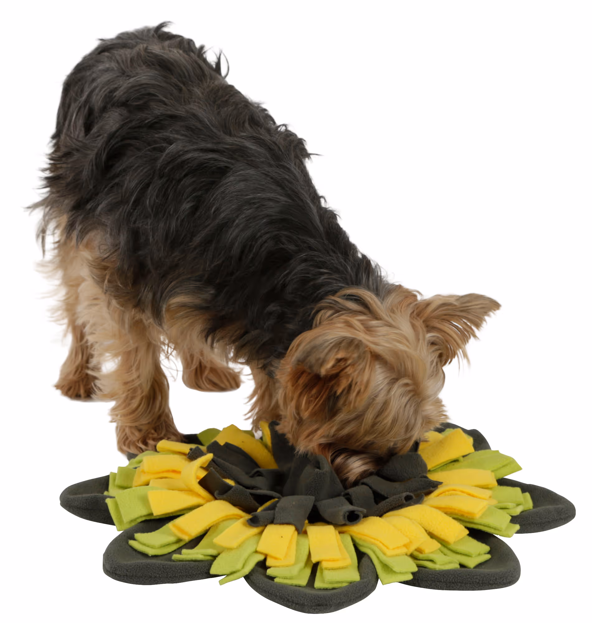 Tapis à renifler Sunflower jaune/vert, Ø40cm