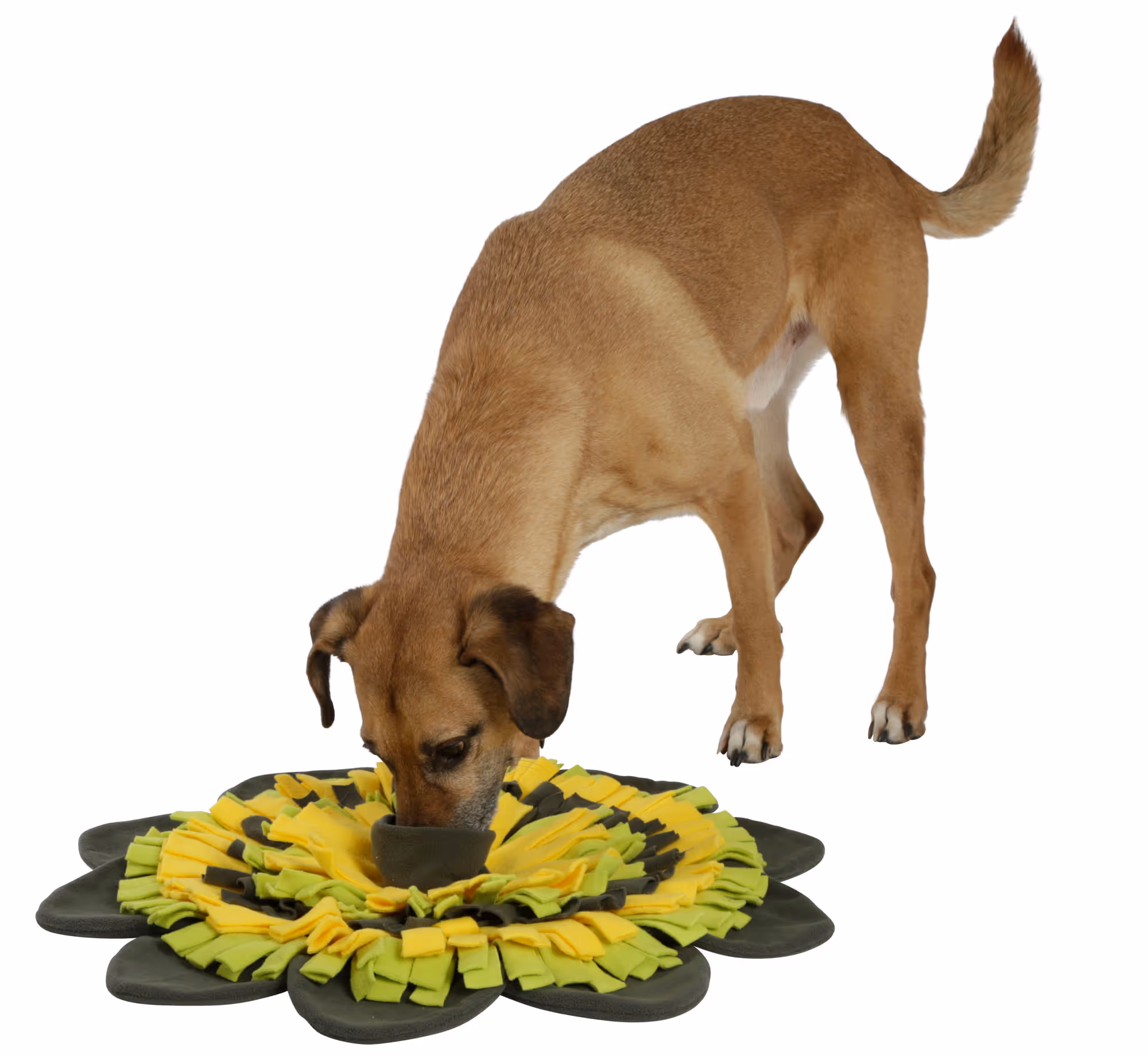 Tapis à renifler Sunflower jaune/vert, Ø60cm