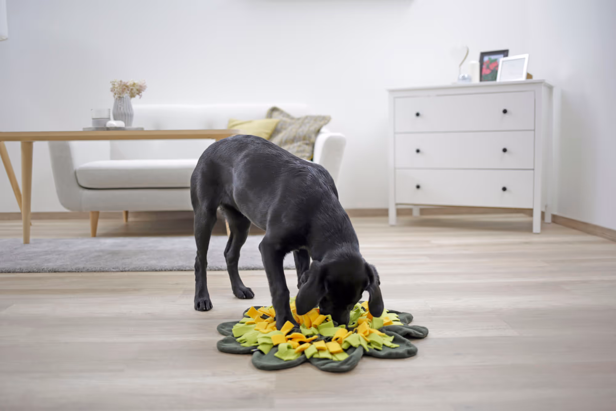 Tapis à renifler Sunflower jaune/vert, Ø60cm