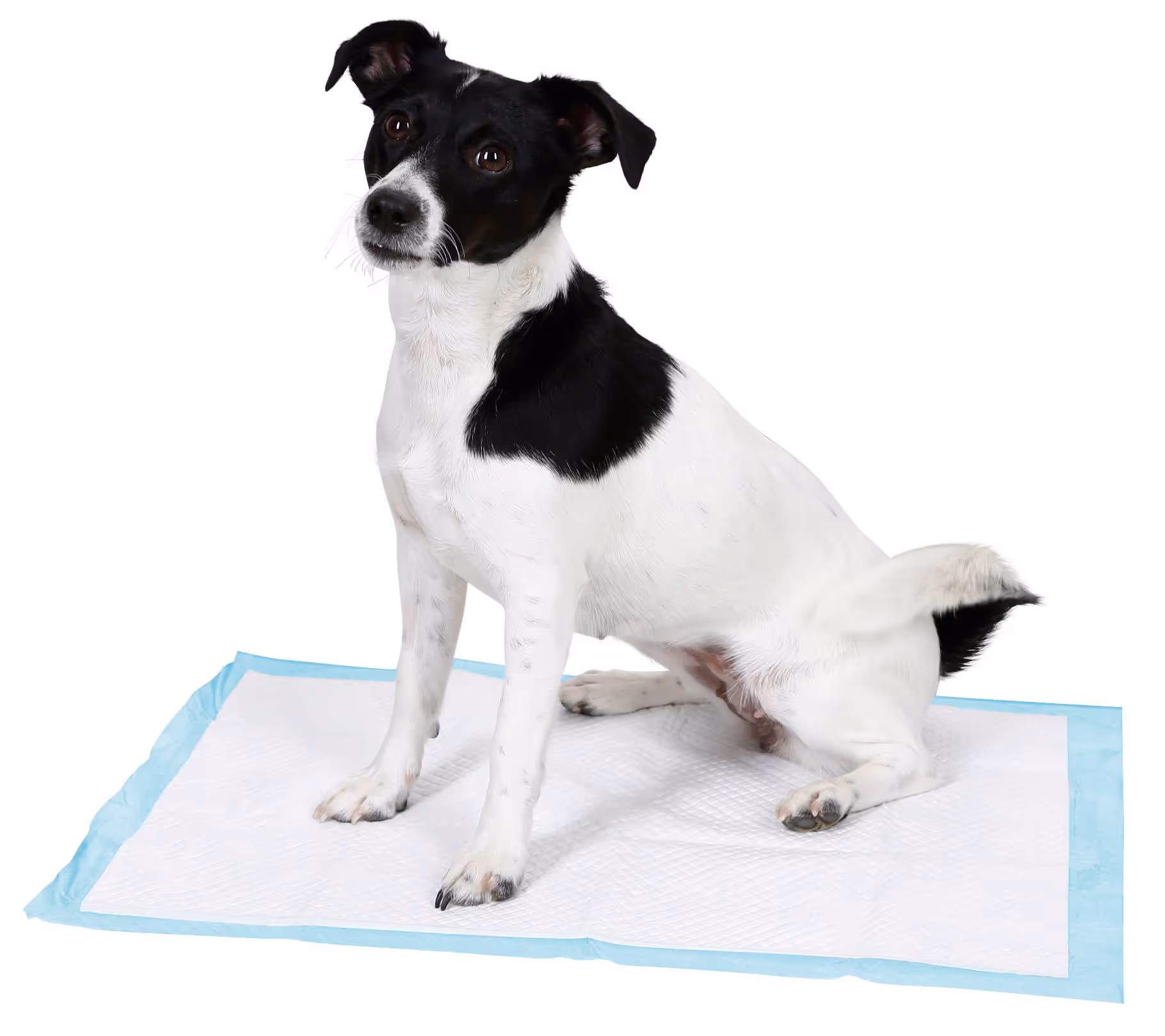 Tapis d'apprentissage blanc/bleu, 60X90cm sachet de 20
