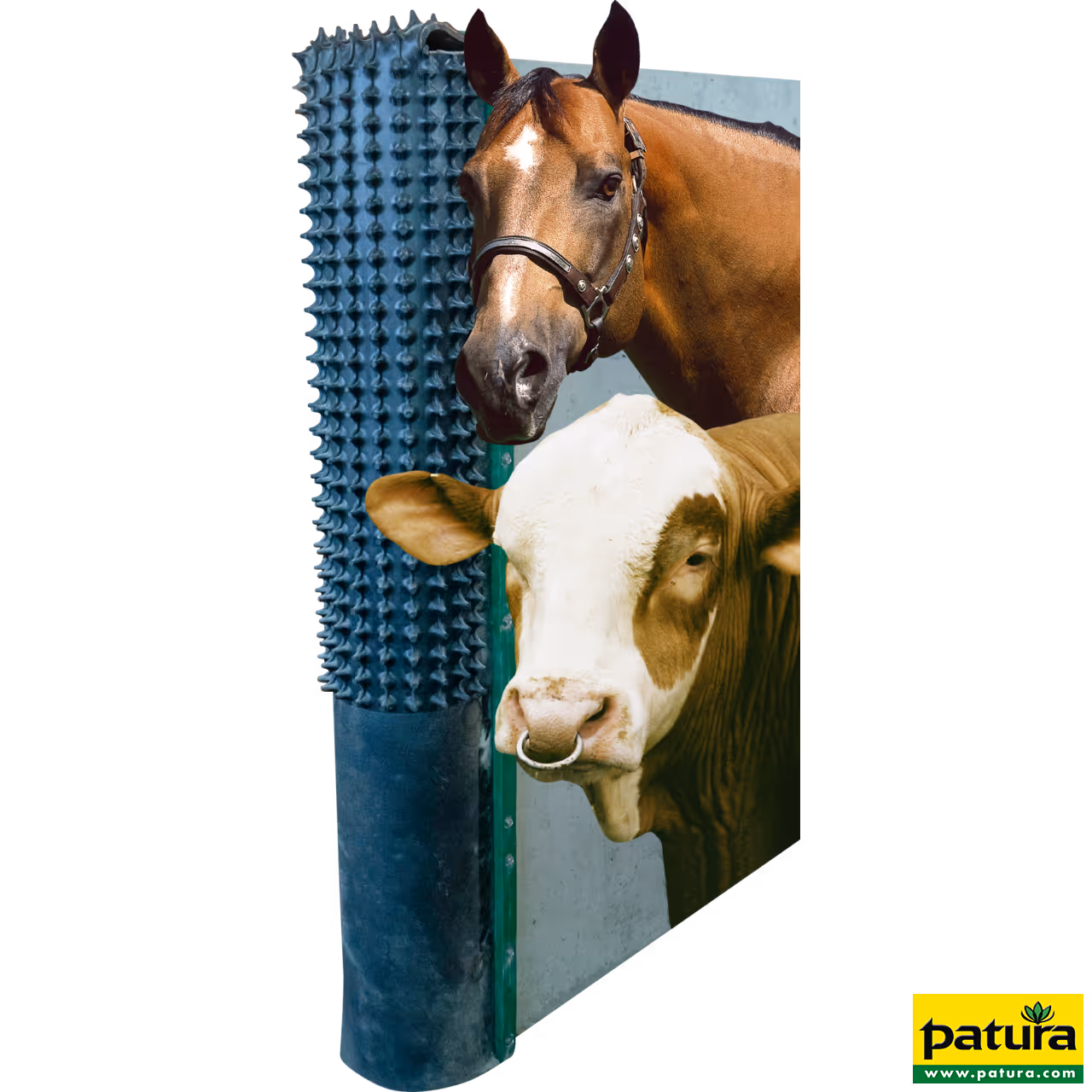 Tapis  de grattage avec baguettes de fixation