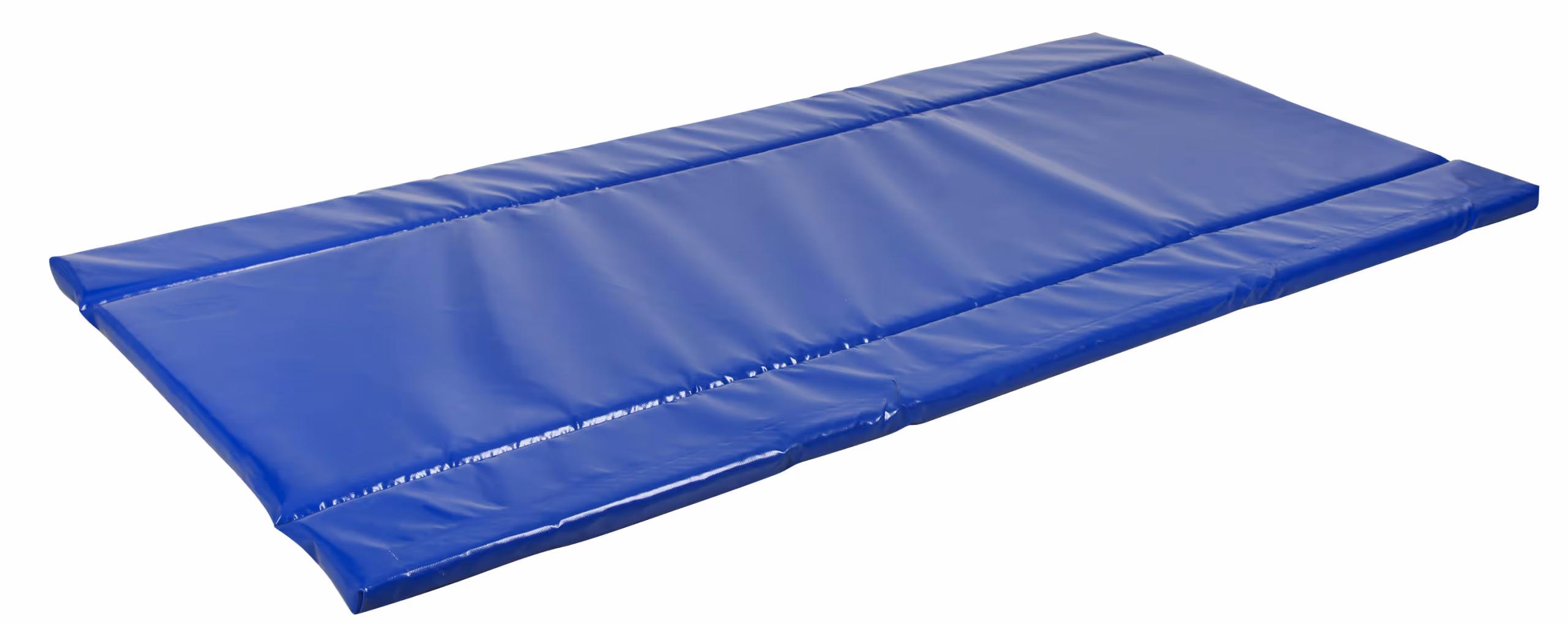 Tapis désinfectant Standard bleu, 180x90x4cm