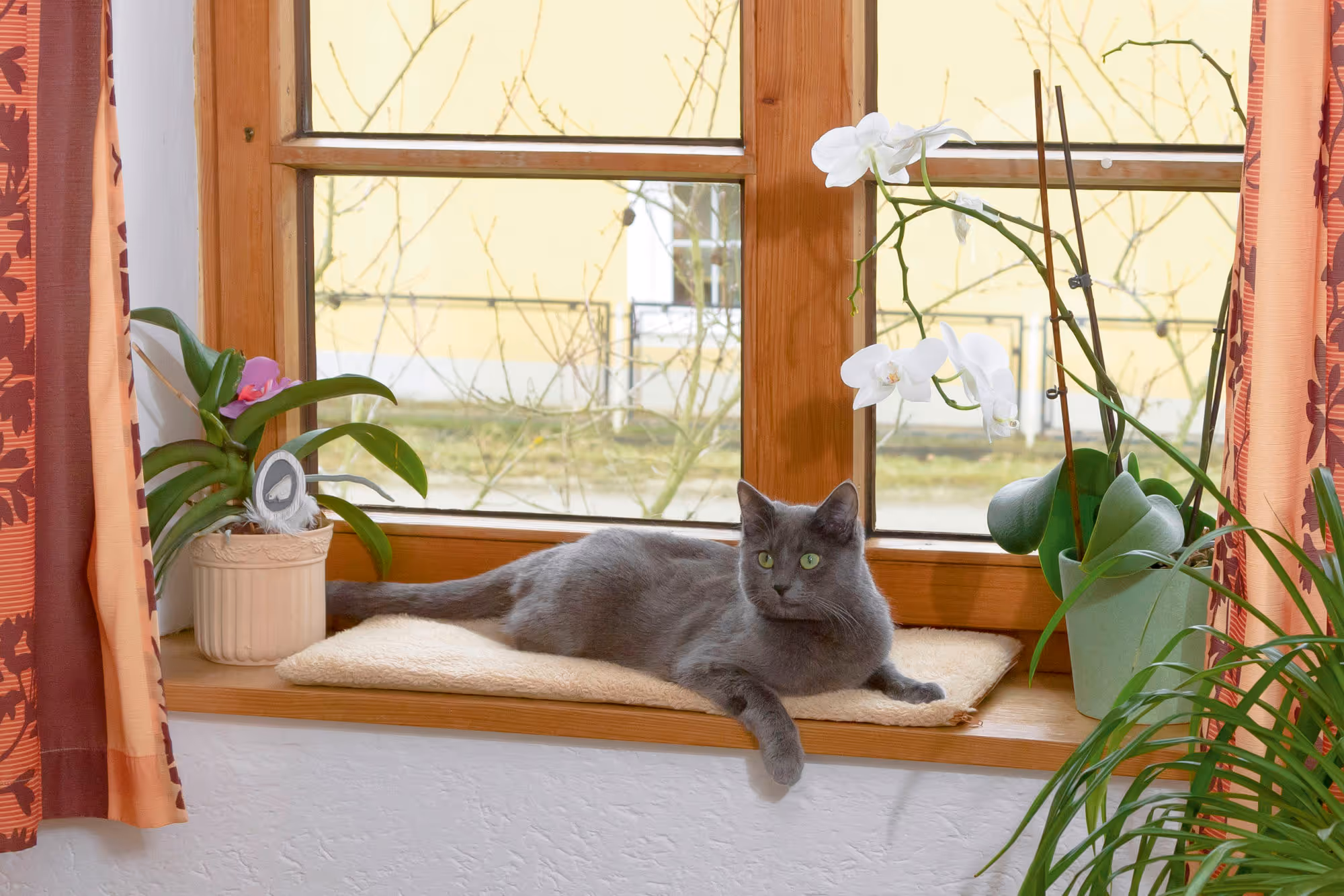Tapis  pour fenêtre 60x26x2cm, autochauffante