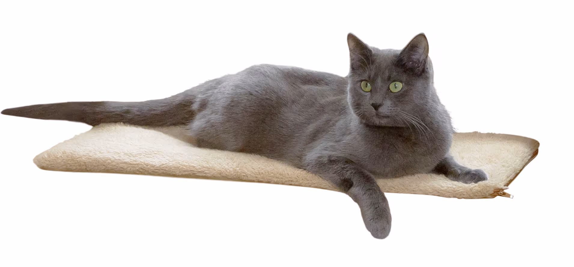 Tapis  pour fenêtre 60x26x2cm, autochauffante