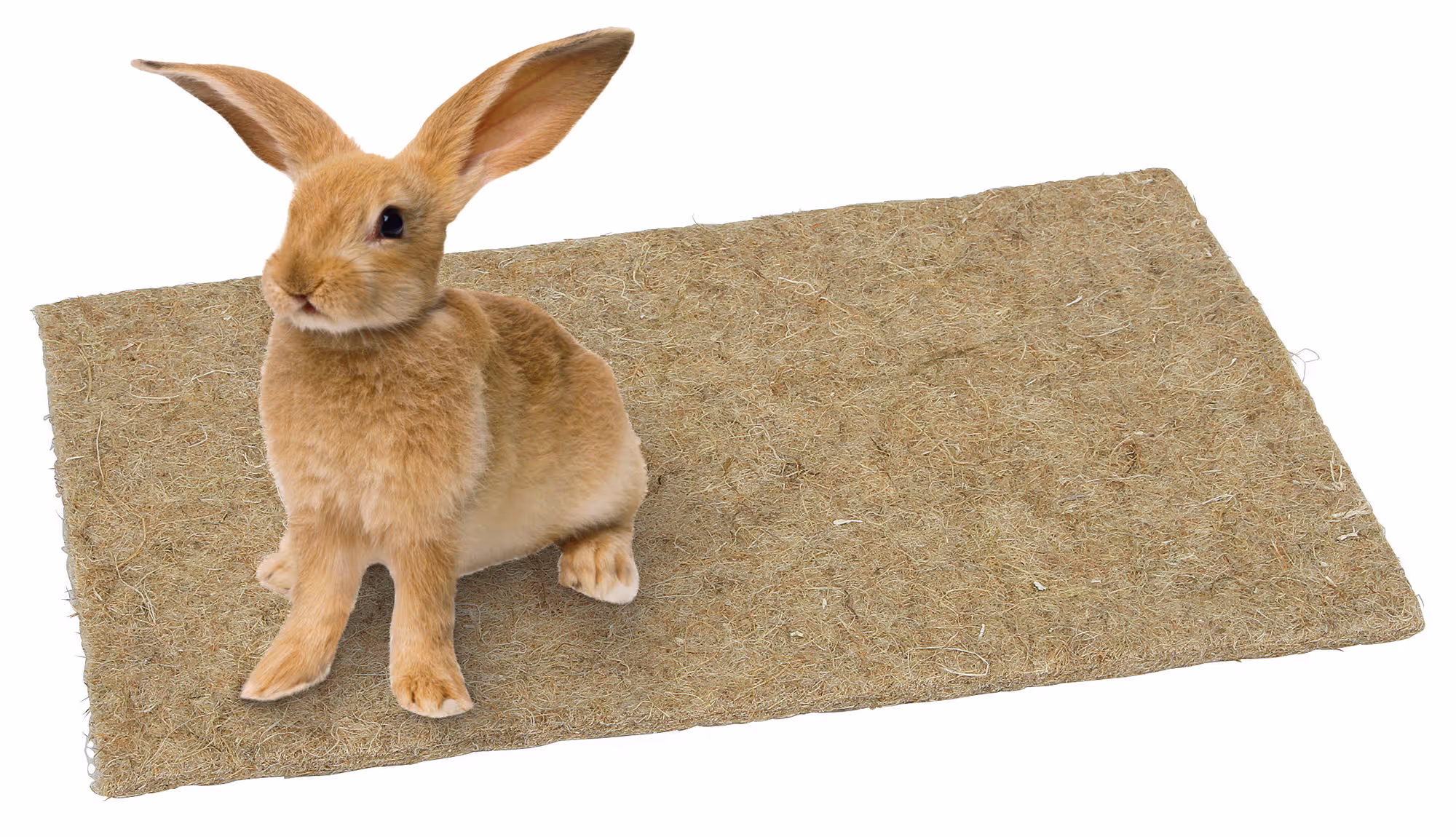 Tapis rongeur en chanvre 40x100 cm