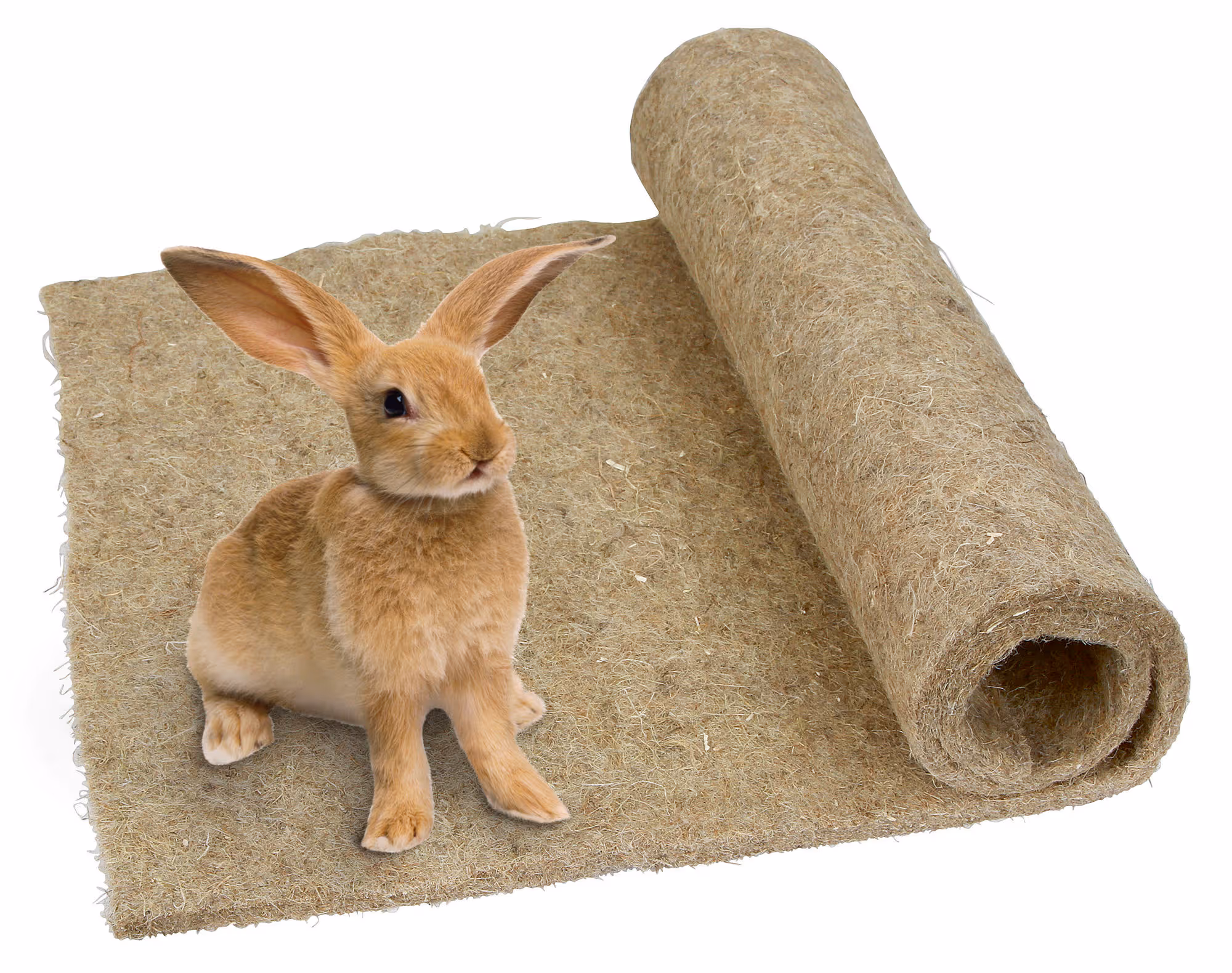 Tapis rongeur en chanvre 40x100 cm