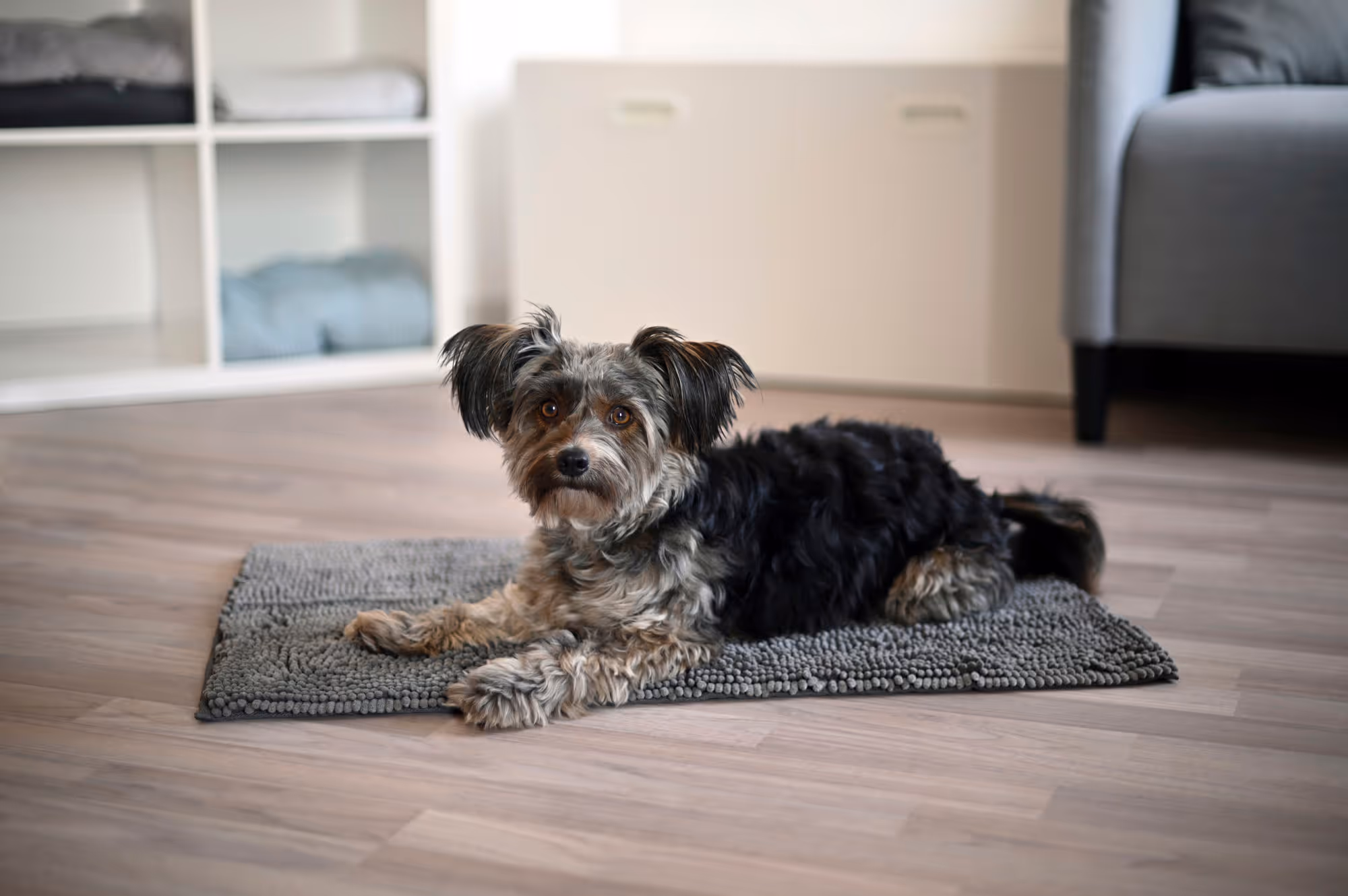 Tapis SuperBed gris foncé, 100X65cm