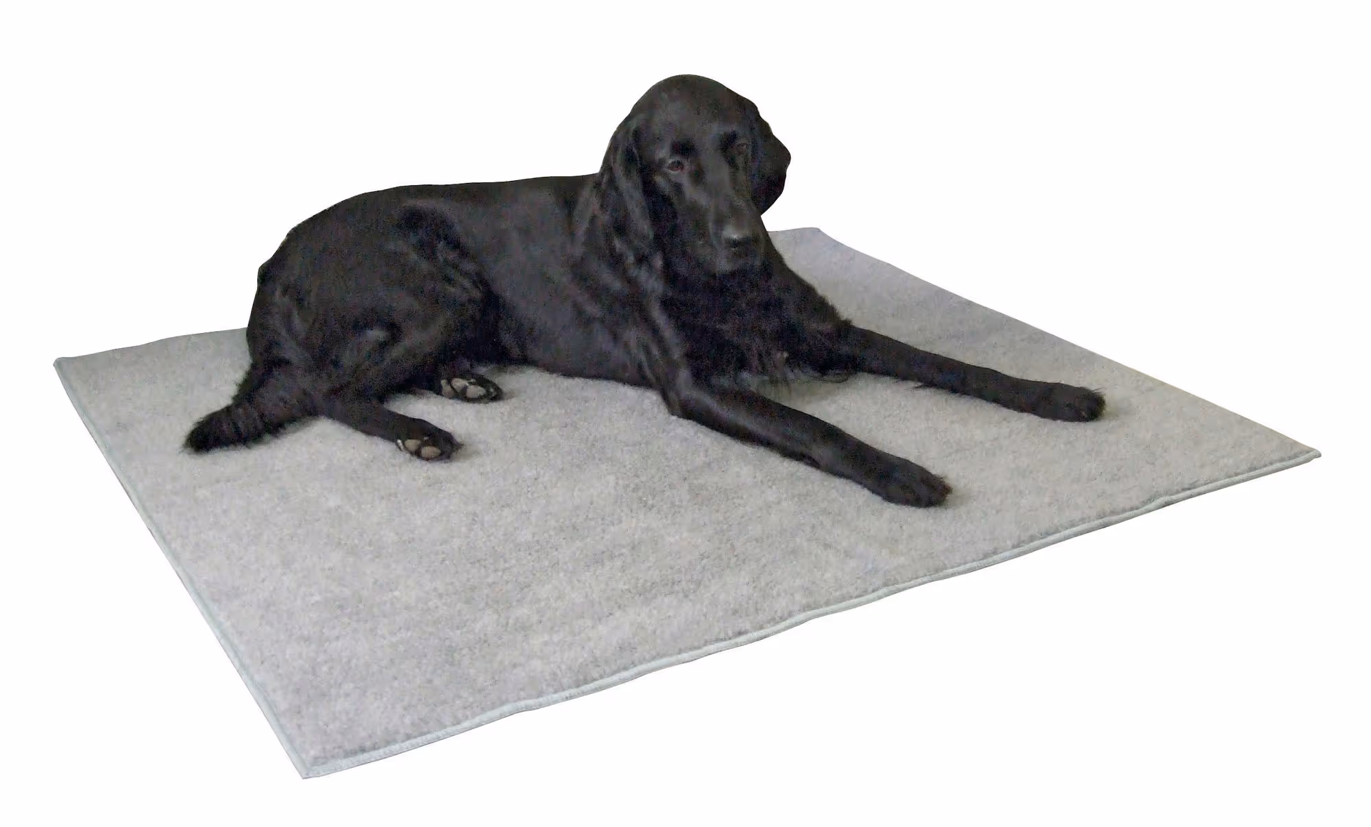 Tapis thermique anti-glisse gris, 125x80cm