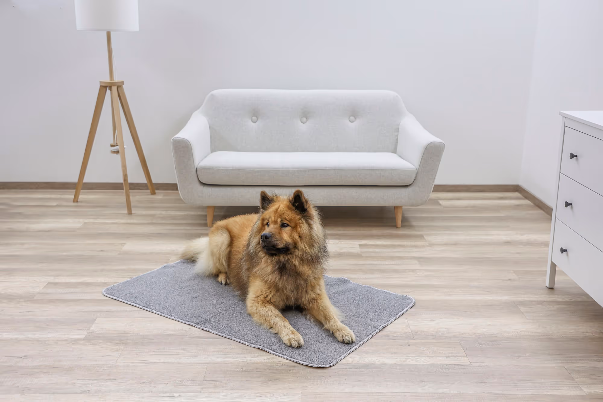 Tapis thermique anti-glisse gris, 125x80cm