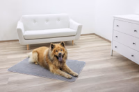 Tapis thermique anti-glisse gris, 125x80cm