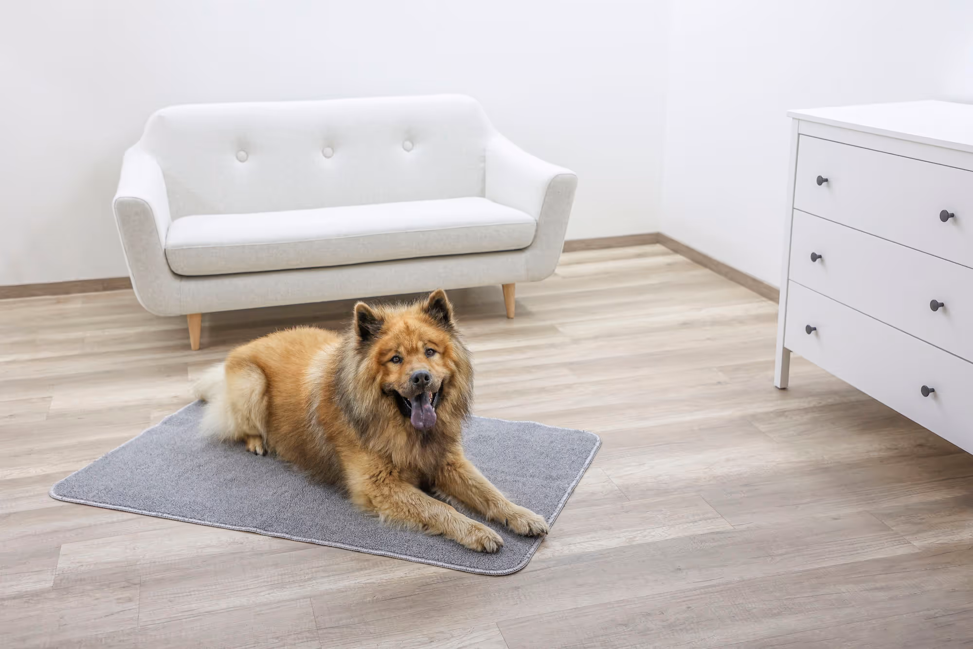 Tapis thermique anti-glisse gris, 125x80cm