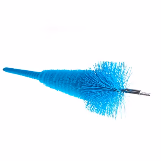 Tete brosse nue  ad. dl97206080