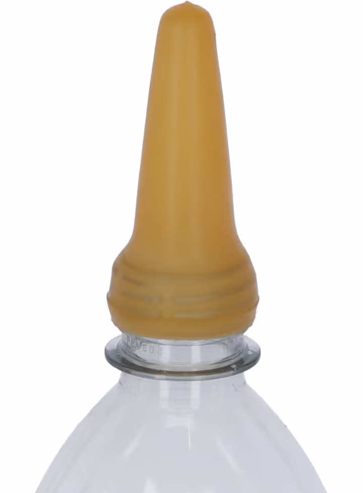 Tétine pour biberon agneau 