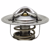 Thermostat 15405101