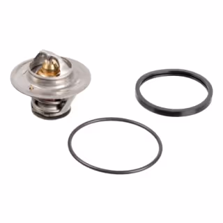 Thermostat avec bague détanchéité et joint