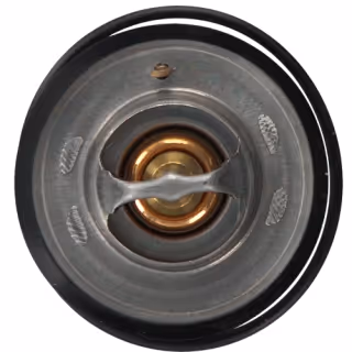 Thermostat avec bague détanchéité et joint