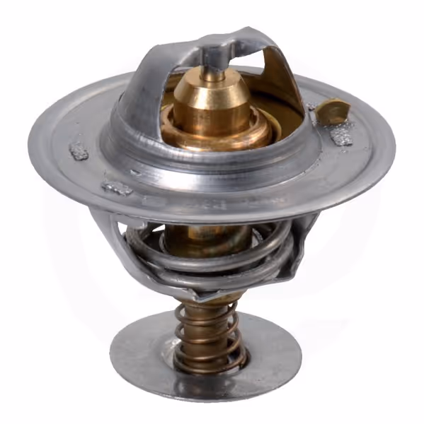 Thermostat Perkins