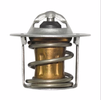 Thermostat Ref 125576A1