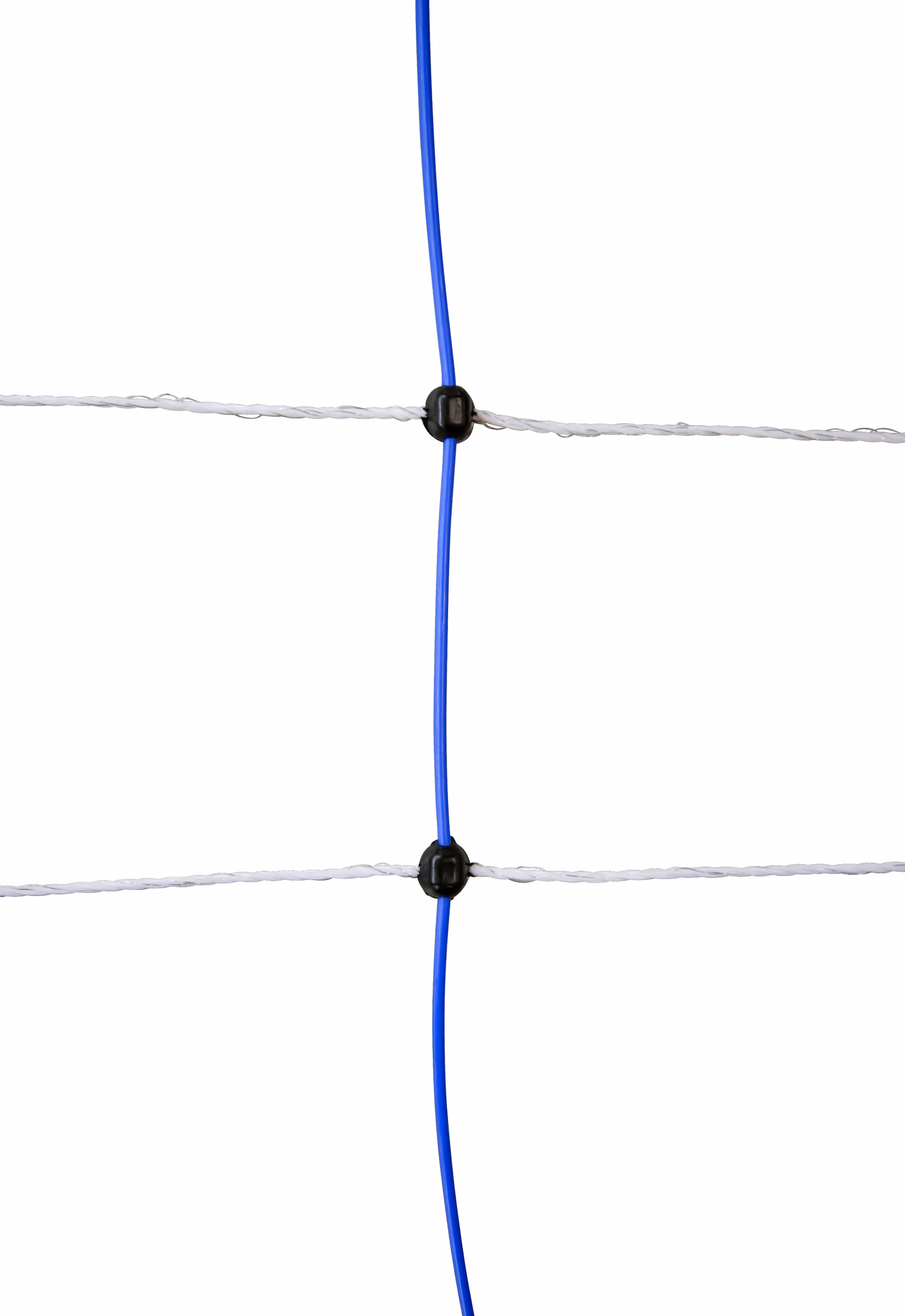 TitanNet 50m bleu/blanc, 145cm, double pte