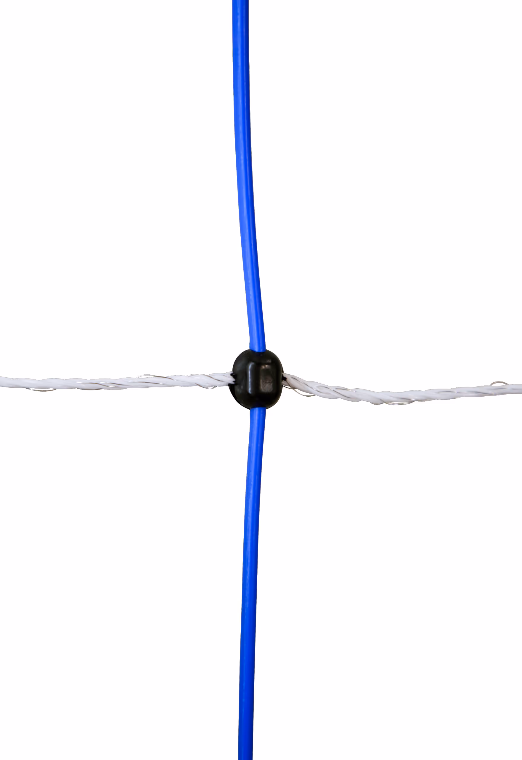 TitanNet 50m bleu/blanc, 145cm, double pte