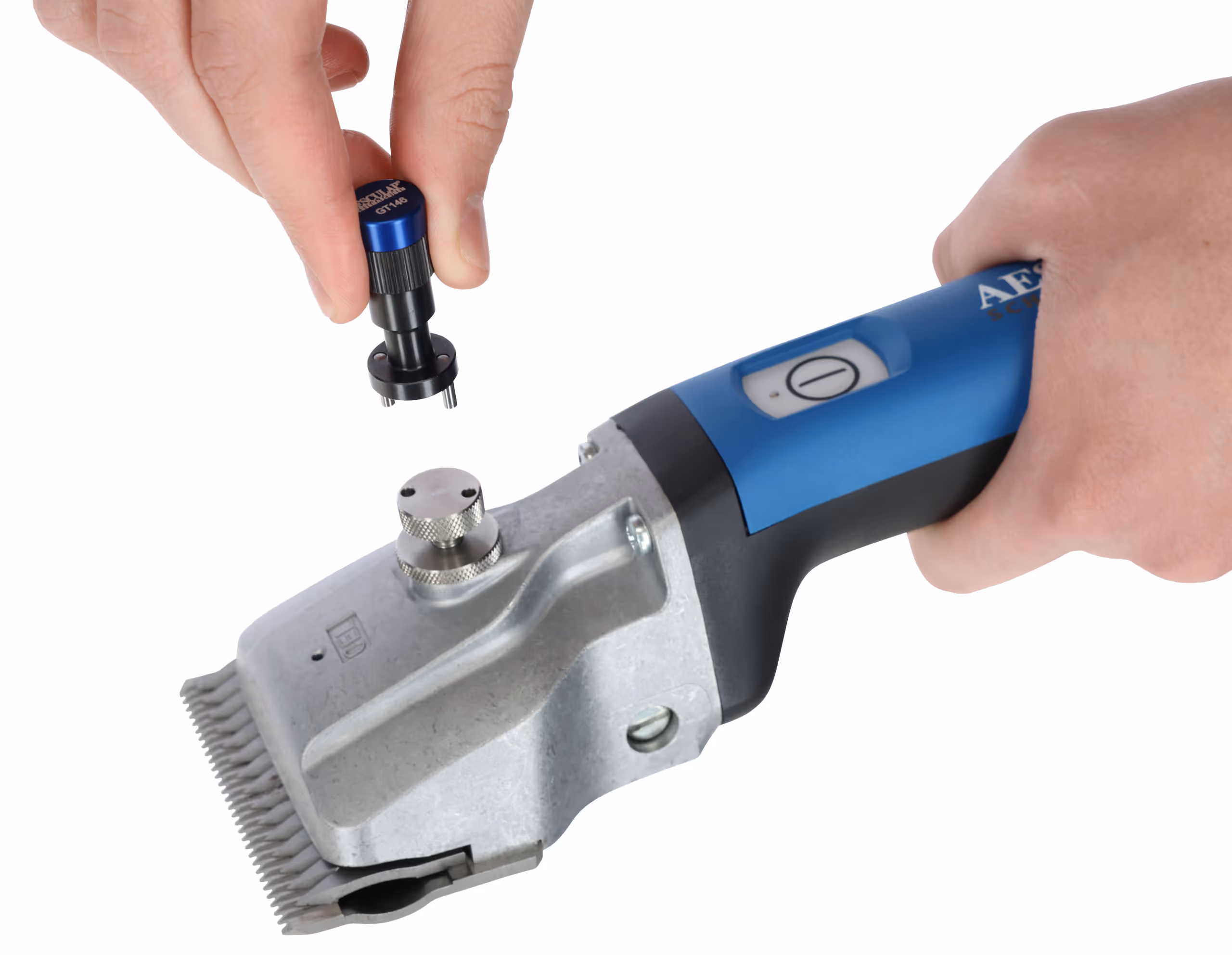 Tondeuse Aesculap Bonum Equins, bleu, 1 batterie