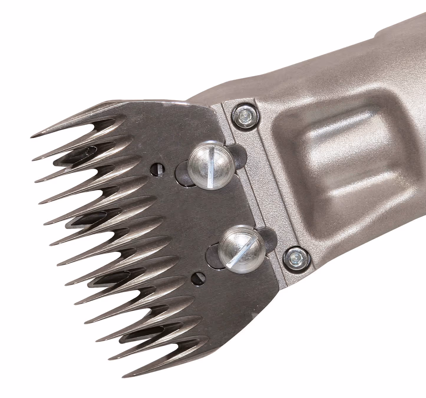 Tondeuse Constanta C4 ovins 230V/400 W, 13/4 dents