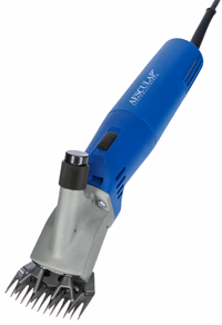 Tondeuse Econom Nova pour ovins 230V