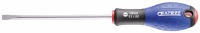 Tournevis fente 5.5x100 mm Expert
