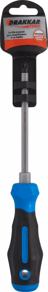 TOURNEVIS POZIDRIV AVEC ECROU PZ2*125 S/CARTE